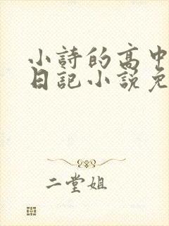 小诗的高中成长日记小说免费阅读