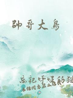 帅哥大鸟