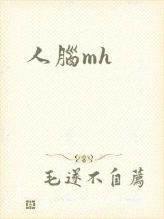 人脑mh