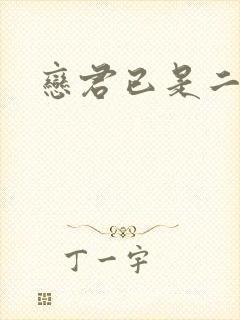 恋君已是二十年