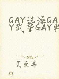 GAY洗澡GAY武警GAY软件