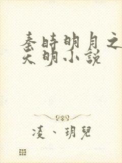 秦时明月之夜尽天明小说