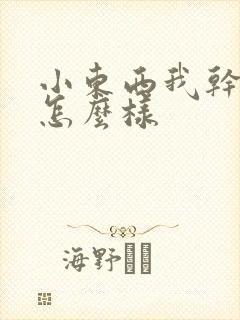 小东西我干的你怎么样