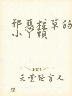 邪恶校草的拽拽小丫头