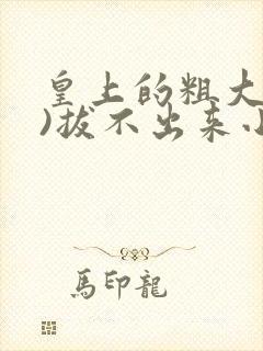 皇上的粗大(h)拔不出来小说