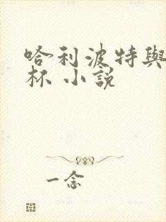 哈利波特与火焰杯 小说