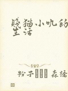 贱猫小叽的幸福生活