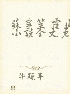 苏宁笙 霍止行小说全文免费阅读