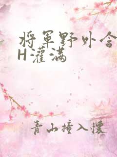 将军野外含公主H灌满