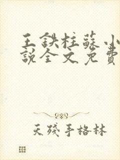 王铁柱苏小汐小说全文免费阅读最新章节