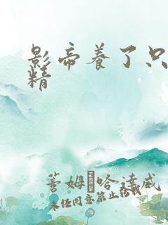 影帝养了只兰花精