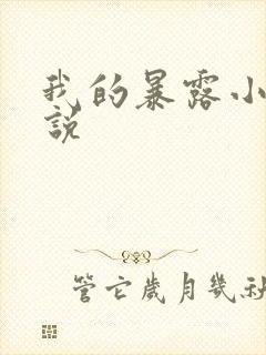 我的暴露小说小说