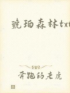 琥珀森林txt