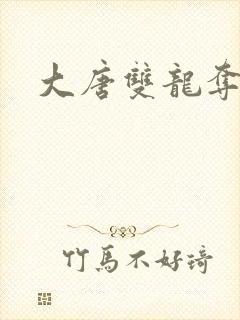 大唐双龙夺艳记