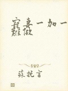 宠妻一加一老婆难做