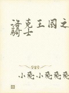 洛克王国之圣龙骑士