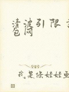 清波引 限 书包网