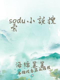 sodu小说搜索