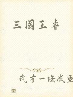 三国王睿