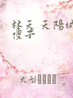 林天 天阳城 傻子