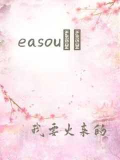 easouС˵