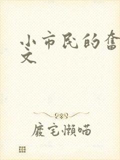 小市民的奋斗燃文