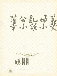 荡公乱妇第51章小说小莹