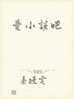 爱小说吧