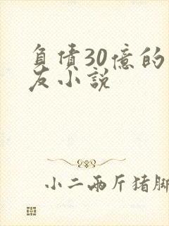 负债30亿的男友小说