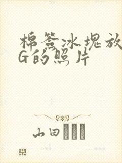 棉签冰块放入PG的照片