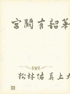 宫阙有韶华