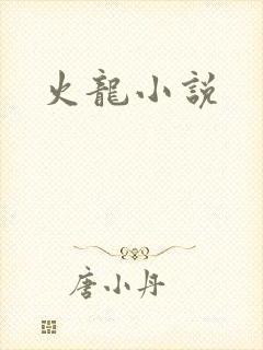 火龙小说
