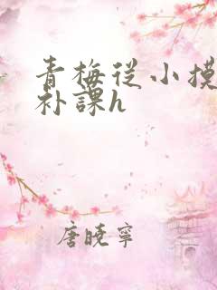 青梅从小摸到大补课h