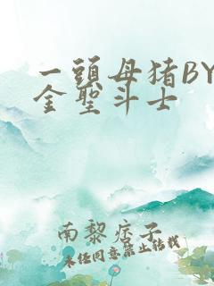 一头母猪BY黄金圣斗士