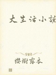 大生活小说