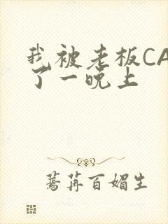 我被老板CAO了一晚上