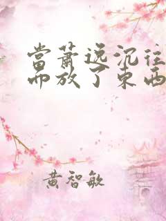 当萧逸沉往你里面放了东西小玩具