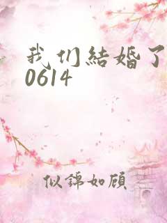 我们结婚了130614