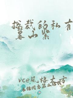 总裁的私有宝贝 暮山紫