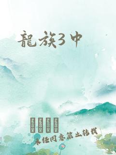 龙族3中
