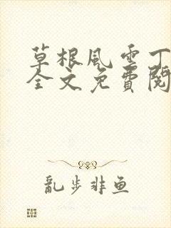 草根风云丁长生全文免费阅读