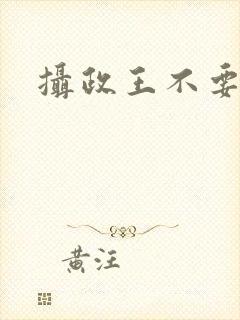 摄政王不要