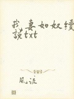 我妻如奴续写小说txt