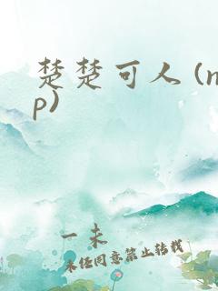 楚楚可人 (np)