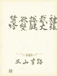 禁欲总裁被C呻吟双腿大张