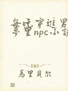 每晚穿进男神的梦里npc小说