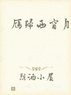 雁归西窗月小说