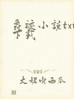 爵迹小说txt下载