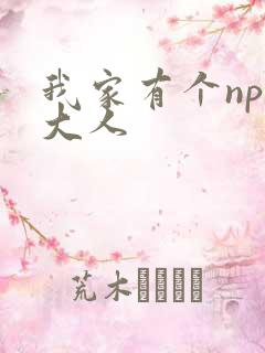 我家有个npc大人