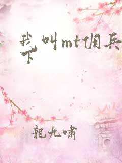 我叫mt佣兵天下